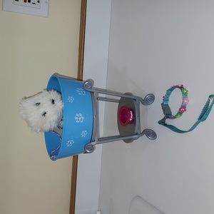 Coconut dog wash set